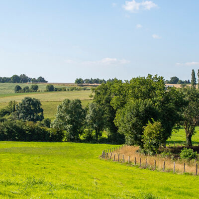 Bella Vista Estates Landscape