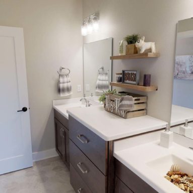 Demlang Builders - The Harper model home Jack and Jill bathroom