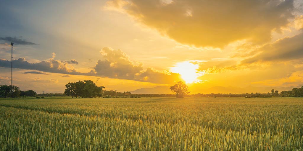 Expansive country field at sundown