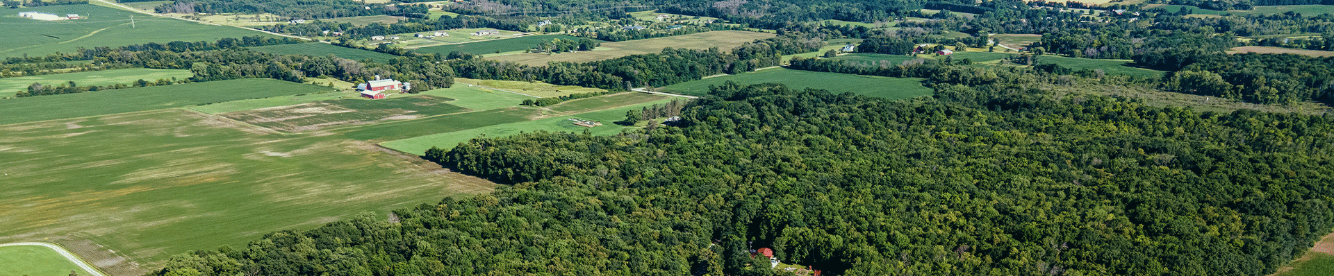 Wisconsin Farm Land