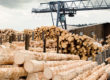 Stacks of logs at sawmill (lumber mill)