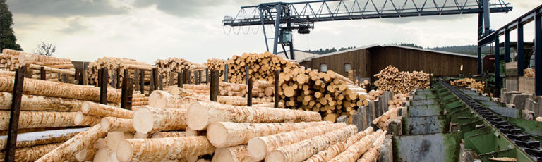 Stacks of logs at sawmill (lumber mill)